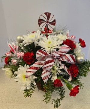 SOLD OUT Candy Cane Lane    NFS-C10 Dish keepsake