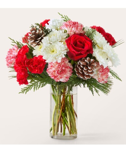 Candy Cane Lane V5573