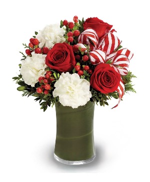 Candy cane memories Fresh cut flowers