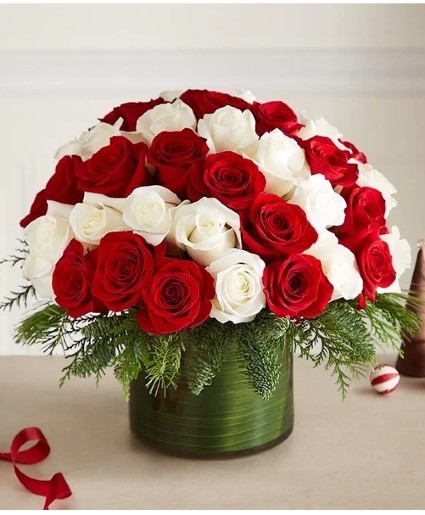 Candy Cane Swir Roses 