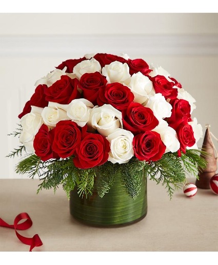 Candy Cane Swirl Roses 