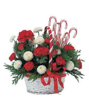 Candy Cane TF86-4 Basket