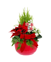 Candy Christmas Planter  