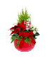 Candy Christmas Planter  