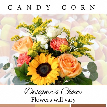 Candy Corn-Orange/Yellow/White
