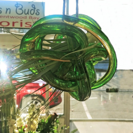 Candy Glass Air Plant Air Plant