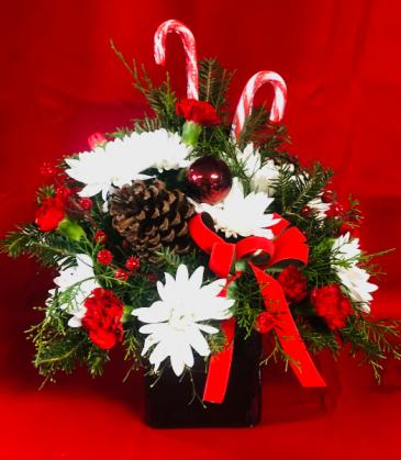 Candy Stripe Cube  in Immokalee, FL | B-HIVE FLOWERS & GIFTS
