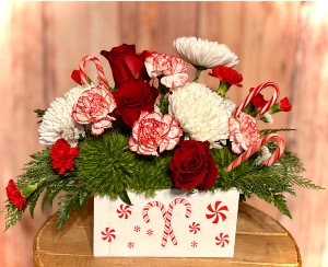 Candycane Christmas  Arrangement 