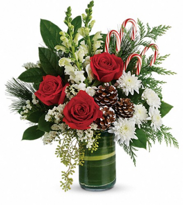 CANE OF JOY Christmas