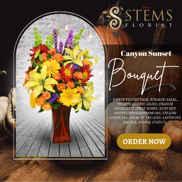 CANYON SUNSET  in Vacaville, CA | Stems Florist