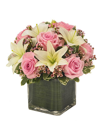Capeshore breeze fresh arrangement