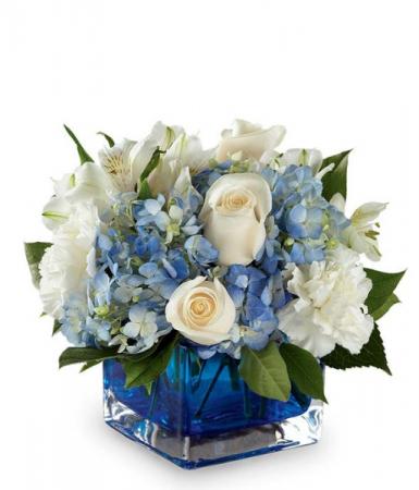 Captivating Cobalt