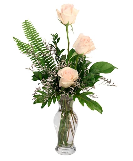 Captivating Cream Roses Rose Arrangement