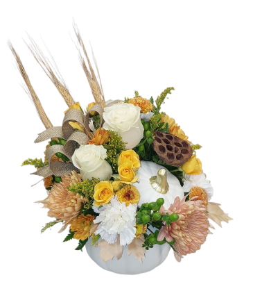 Caramel Cream White Pumpkin in Sun City Center, FL | SUN CITY CENTER FLOWERS AND GIFTS Caramel Cream White Pumpkin in Sun City Center, FL | SUN CITY CENTER FLOWERS AND GIFTS