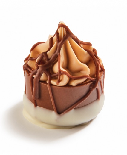 Caramel frozen yogurt praline Luxury box with 2, 6, or 12 pieces 