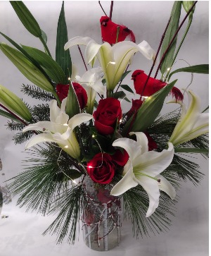 Cardinal Aglow Christmas 