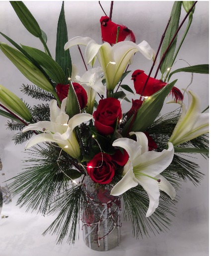 Cardinal Aglow Christmas 