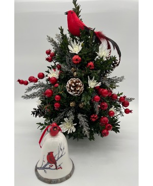 Cardinal Boxwood Tree Boxwood Tree