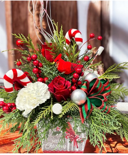 Cardinal Candy Cane  Christmas 