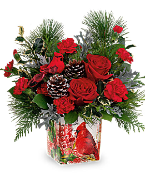 Cardinal Cheer  