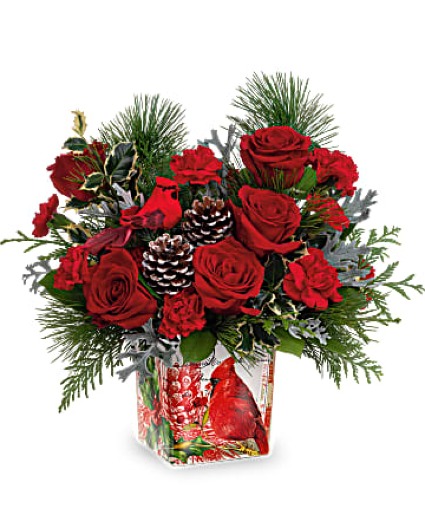 Cardinal Cheer