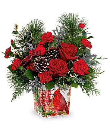 Cardinal Cheer  in Allegan, MI | Allegan Floral and Gifts