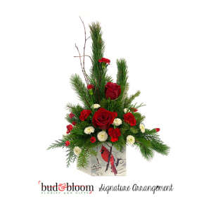 Cardinal Christmas Bud & Bloom Signature Arrangement