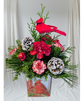 Cardinal Christmas Delight  