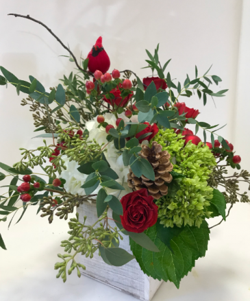 Cardinal Christmas wooden box arrangement in Northport, NY | Hengstenberg's Florist