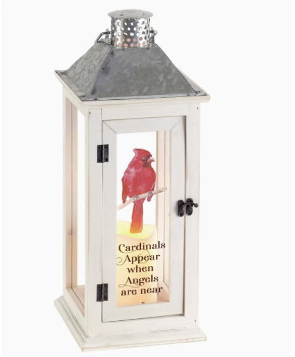 Cardinal Lantern 