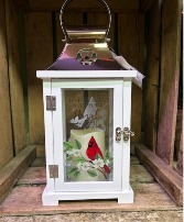 Cardinal Lantern  
