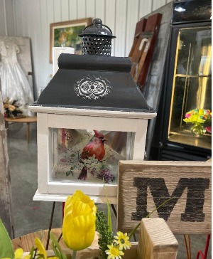 Cardinal Lantern Lantern