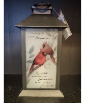 Cardinal Lighted Lantern  