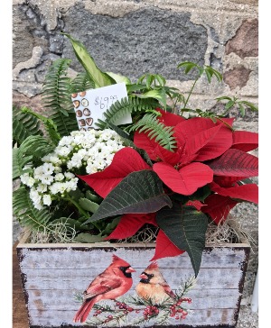 Cardinal Living Planter 