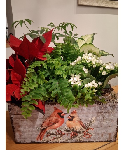 Cardinal Living Planter 