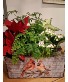 Cardinal Living Planter 