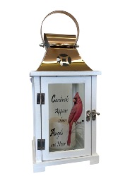 Cardinal Sympathy Lantern 