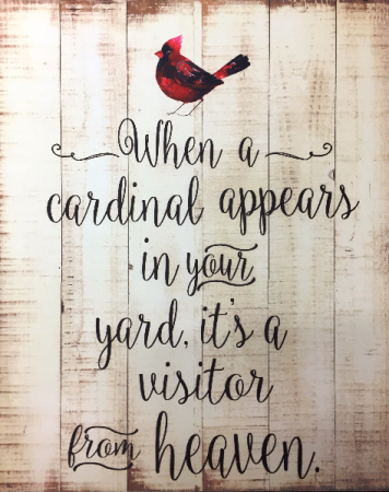 Cardinal Visitor From Heaven Sign