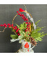 Cardinal Wishes Powell Florist Christmas Exclusive