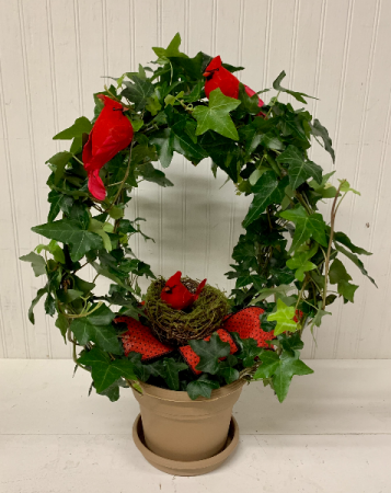 Cardinals and Ivy Plant
