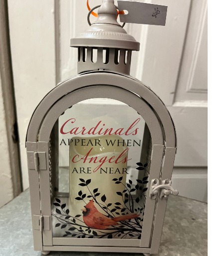 Cardinals Appear Lantern 