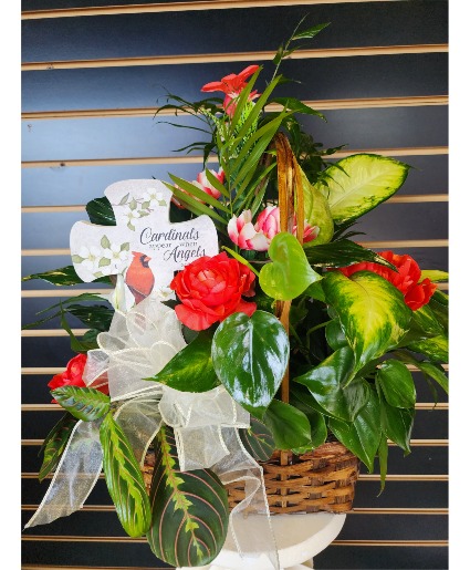 Cardinals Appear Planter