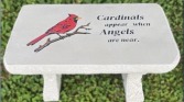 Cardinals Appear When Angels are Near Concrete Bench, 24