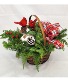 Cardinals In Evergreens Basket Arrangement