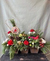 Cardinal's Winter Table 