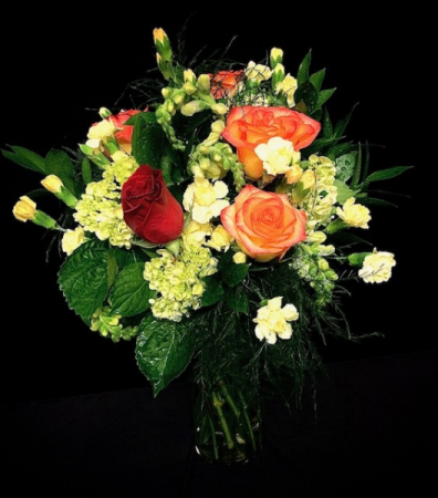 Carefree Pixies & Roses