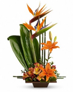 Caribbean Grace Fresh Arrangement