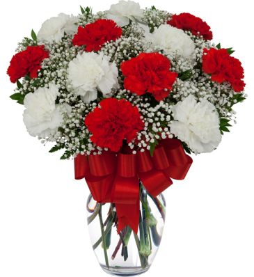 Caring Carnations vase arrangement