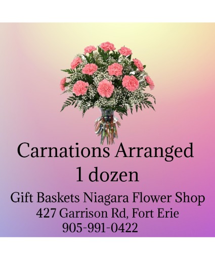 One Dozen Carnations Arranged In Vase