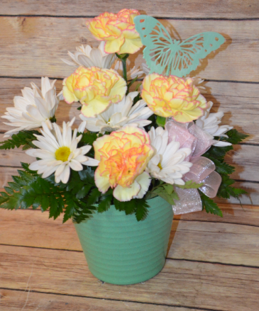 Carnation and Daisy Pot - Colors may vary